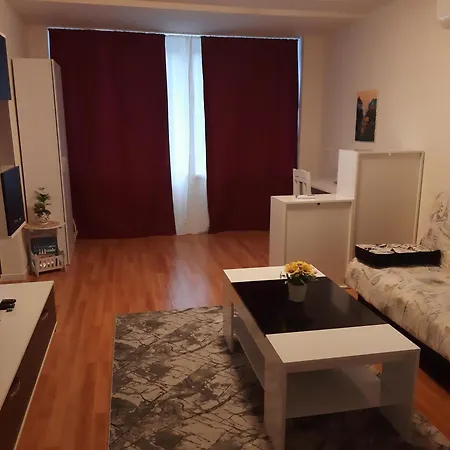 дом борисови Apartament Sofia