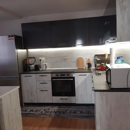 Apartment дом борисови *