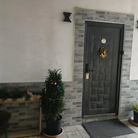 Apartment дом борисови