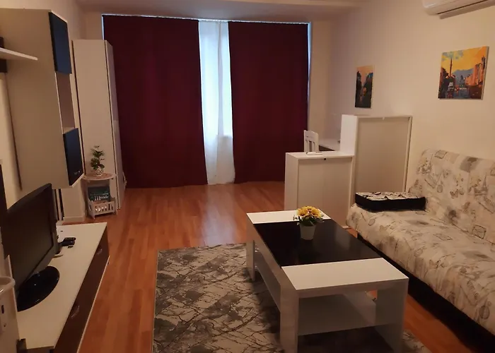 дом борисови Apartment Sofia
